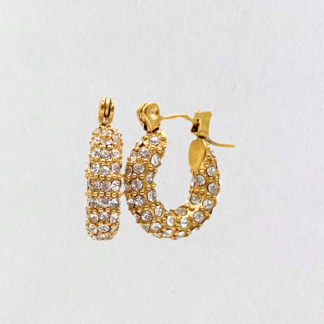 Sparkly deals hoop earrings